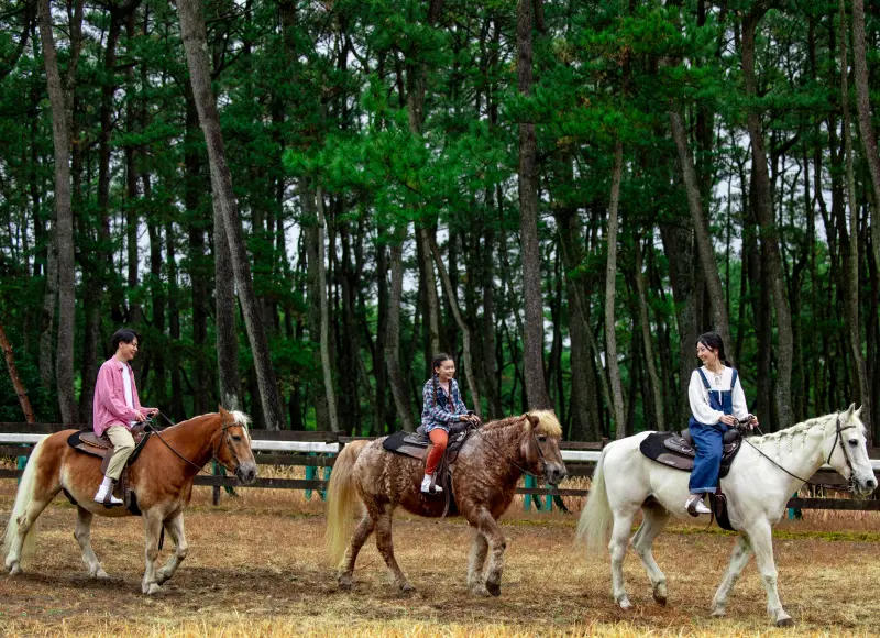 A family enjoying horseback riding in a pine forest riding arena.