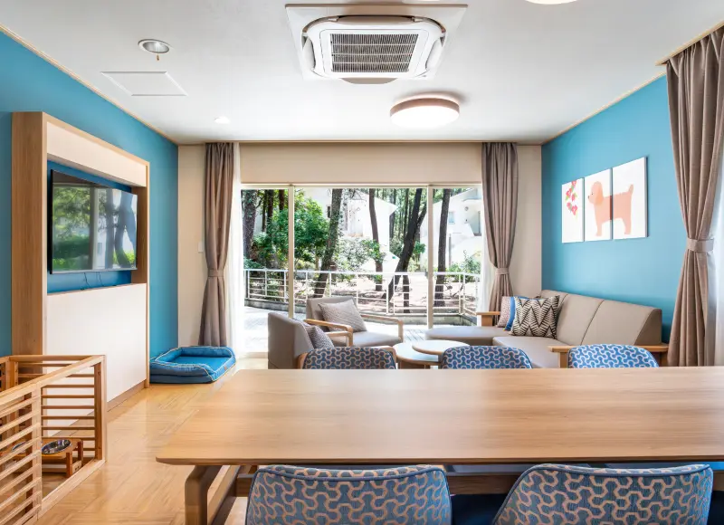 Dog-friendly room interior